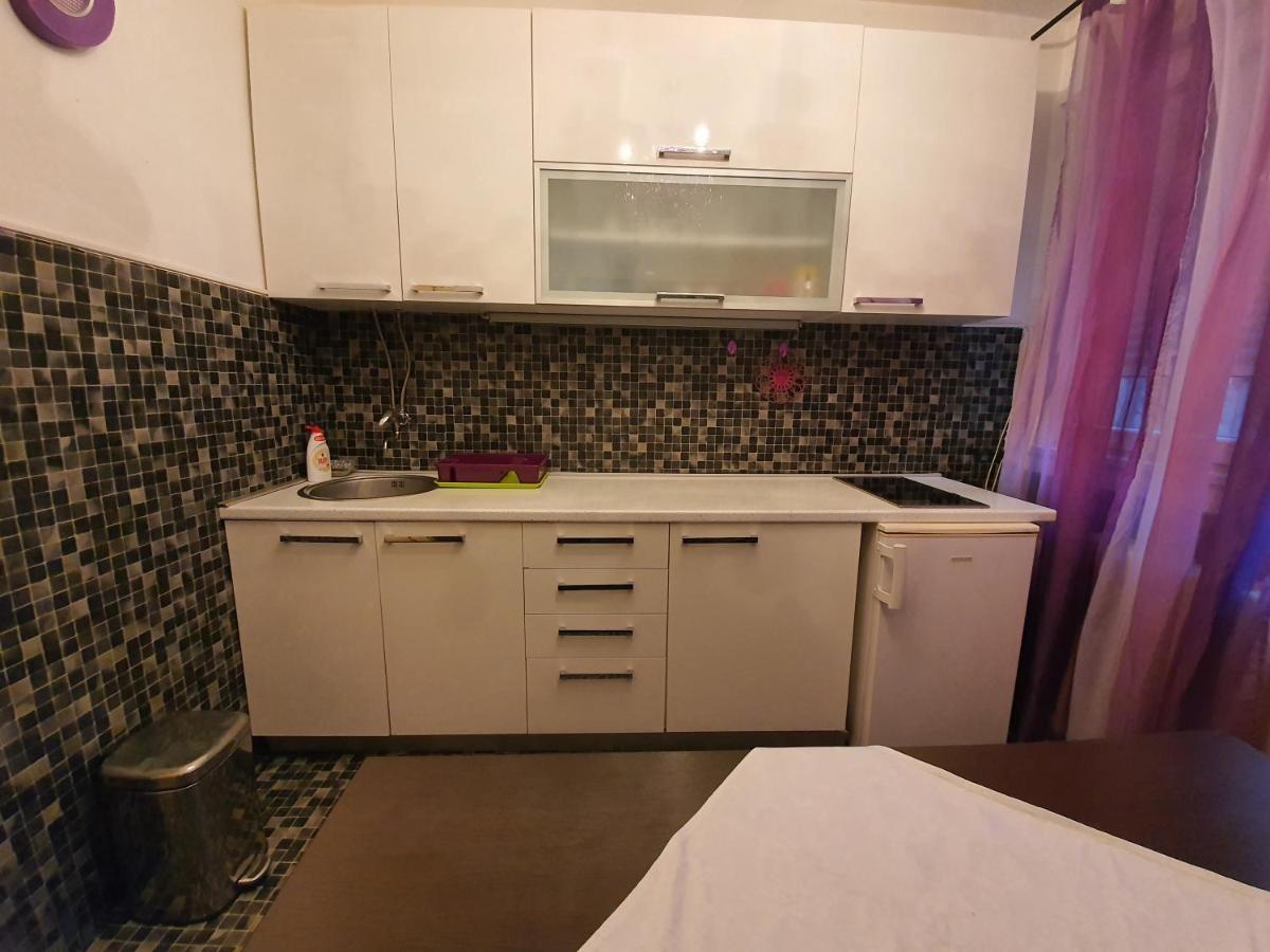 Apartament Central Park Studio Belgrad Zewnętrze zdjęcie
