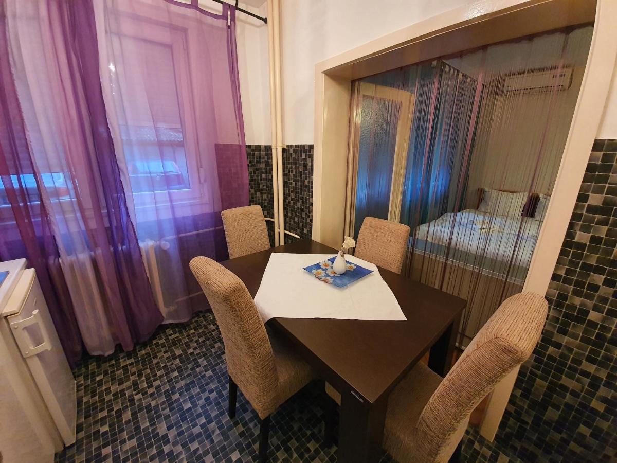 Apartament Central Park Studio Belgrad Zewnętrze zdjęcie