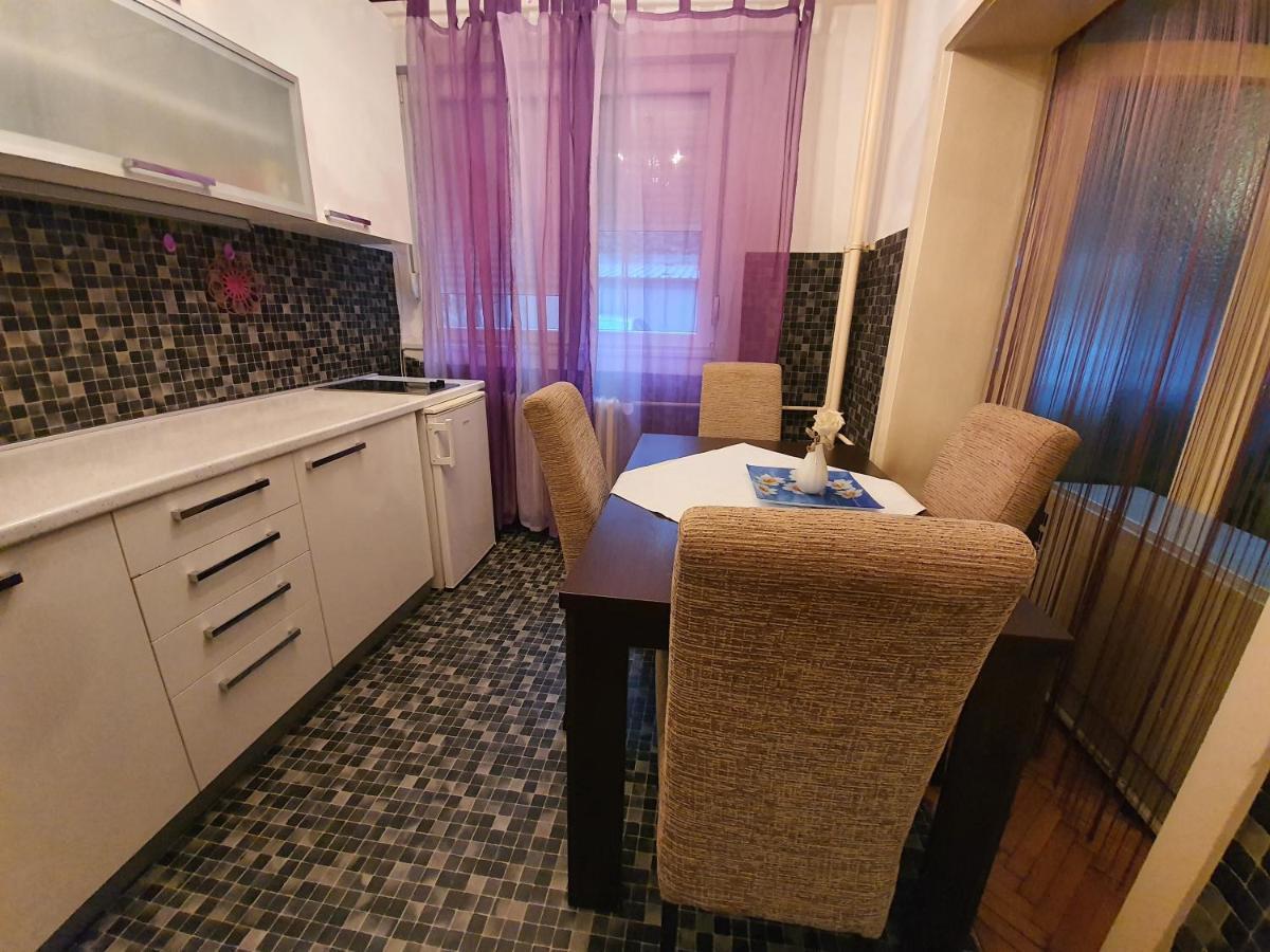 Apartament Central Park Studio Belgrad Zewnętrze zdjęcie